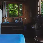 Cabana Solitude